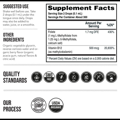 Methyl Folate Berry Liquid Boost